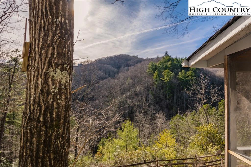 Image number 7 for the current listing