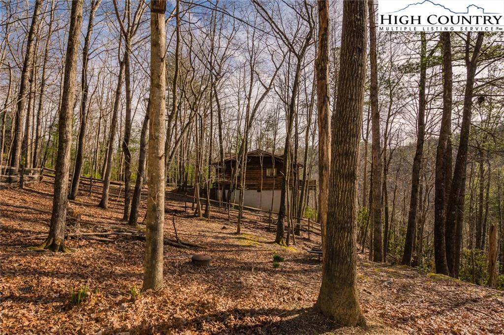 Image number 12 for the current listing