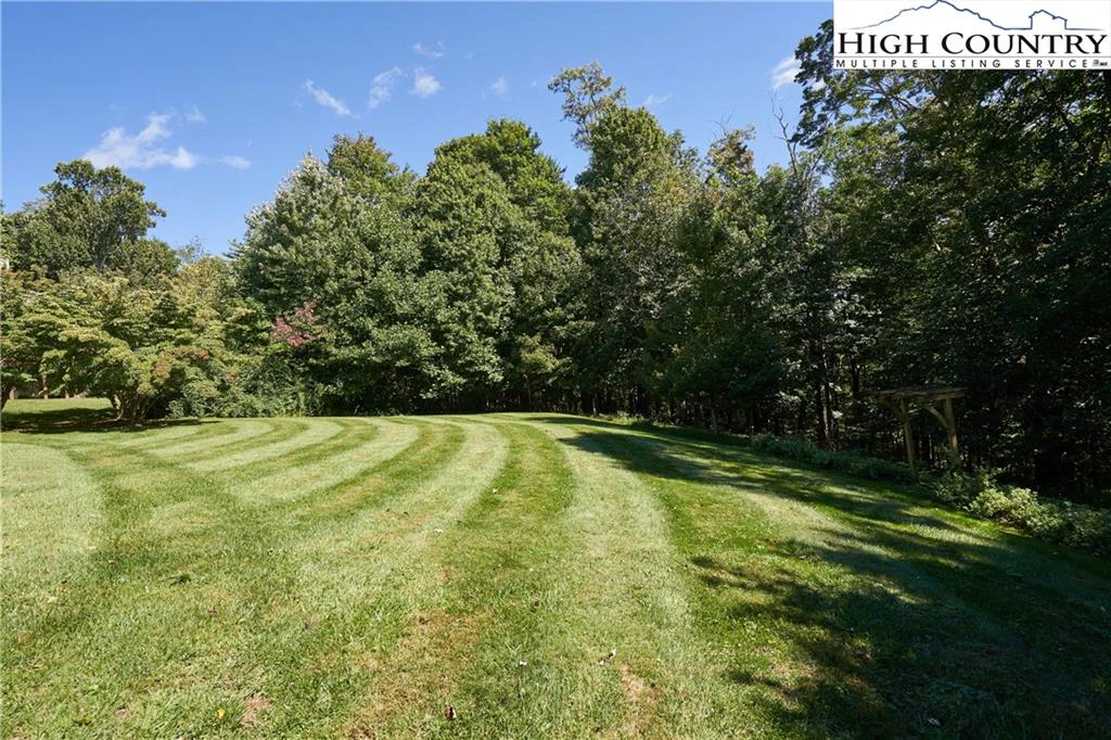 Image number 2 for the current listing