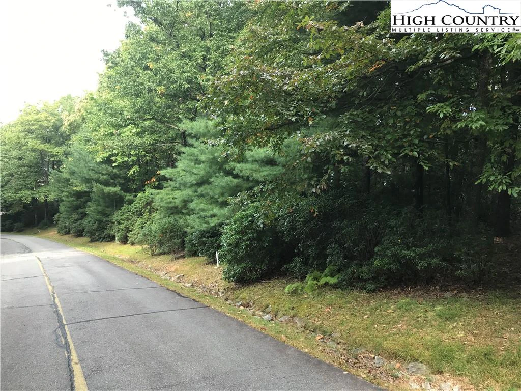 Image number 1 for the current listing
