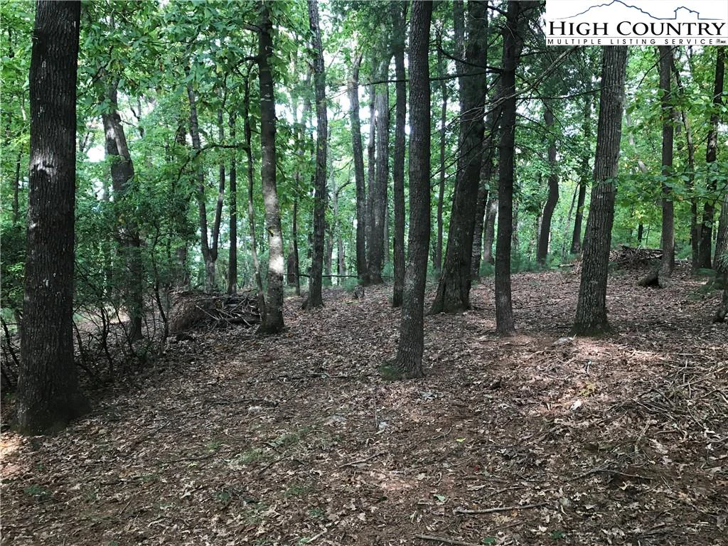 Image number 3 for the current listing
