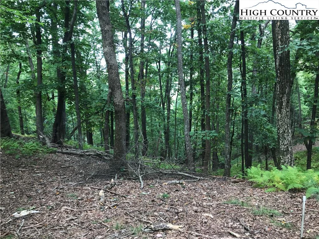 Image number 4 for the current listing