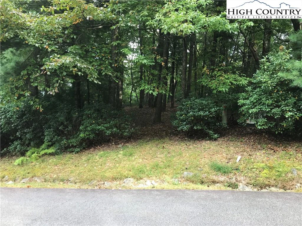 Image number 5 for the current listing