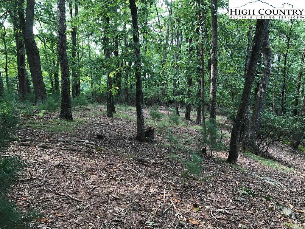 Image number 6 for the current listing