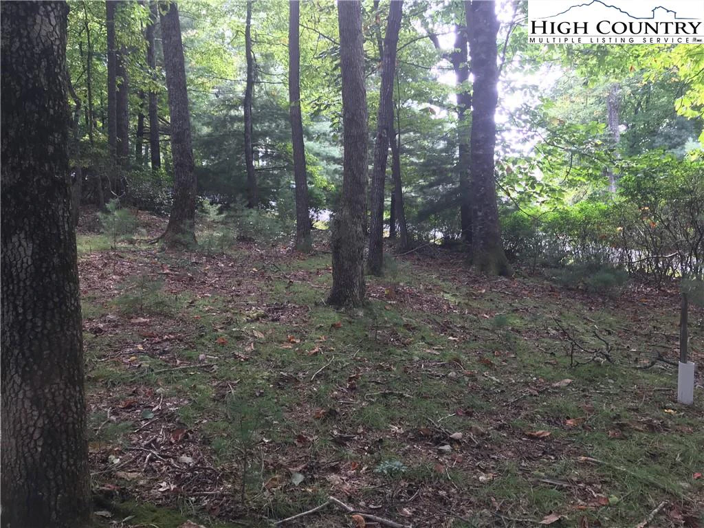Image number 8 for the current listing