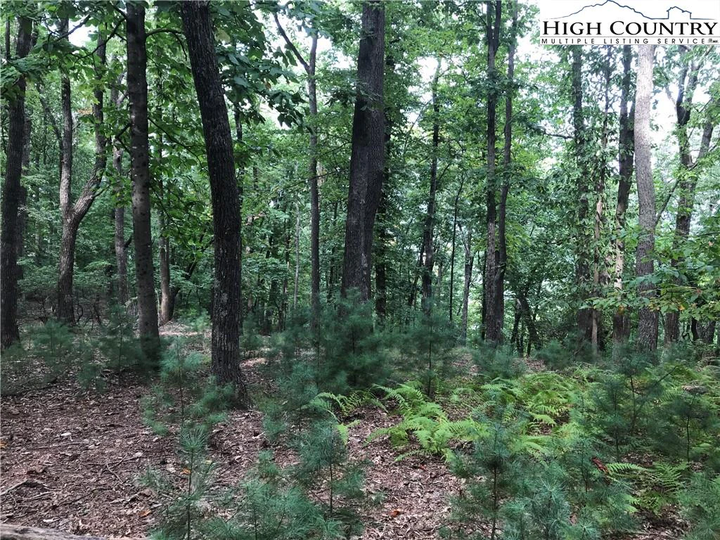 Image number 9 for the current listing