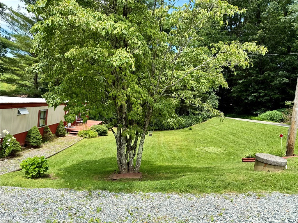 Image number 3 for the current listing