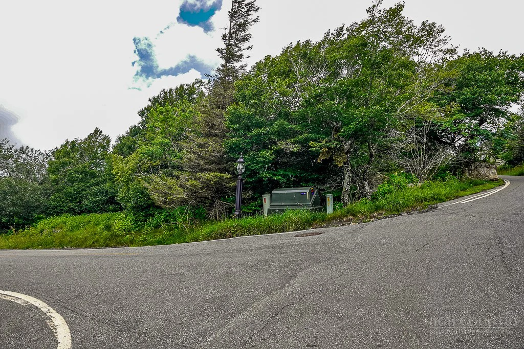 Image number 4 for the current listing