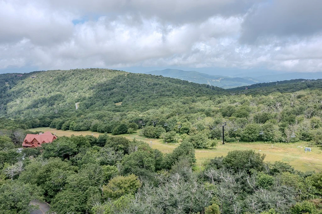 Image number 12 for the current listing