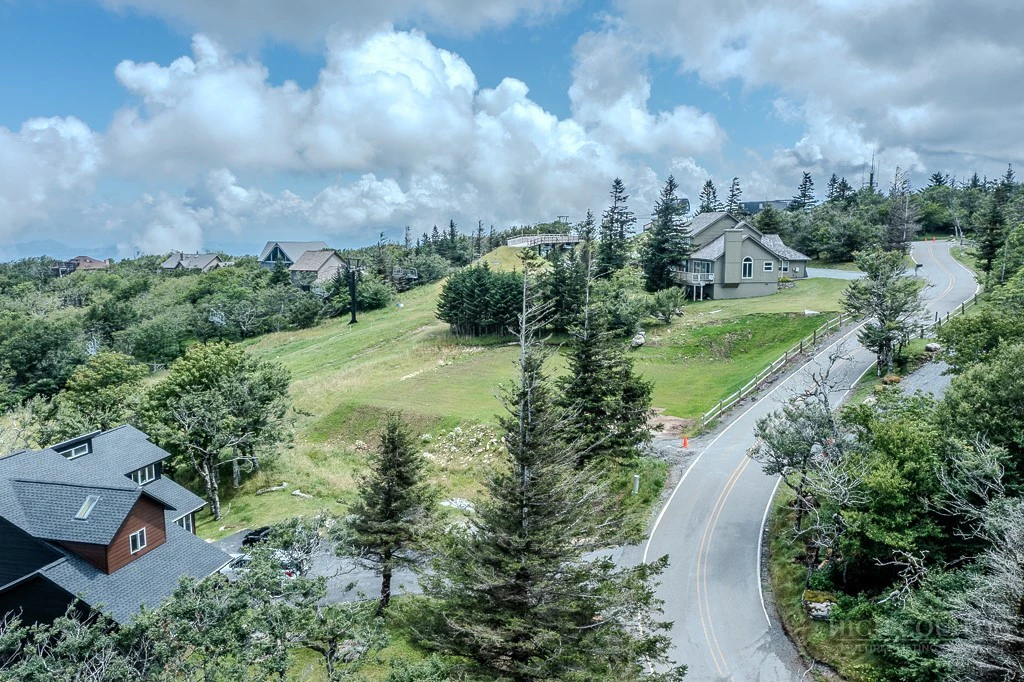 Image number 14 for the current listing