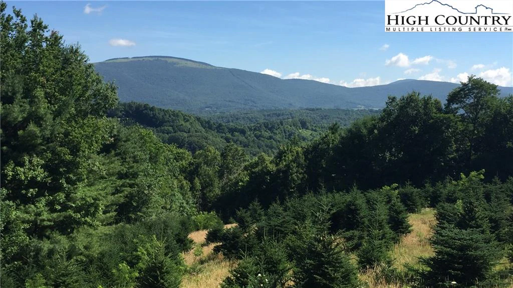 Image number 1 for the current listing