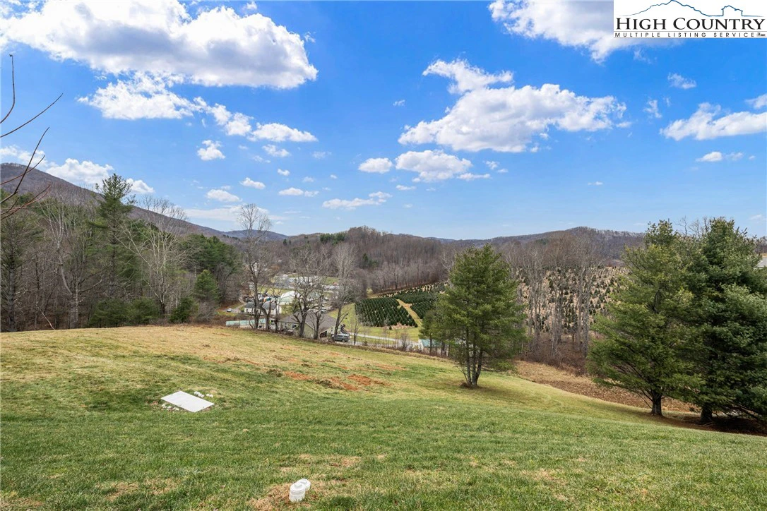 Image number 16 for the current listing
