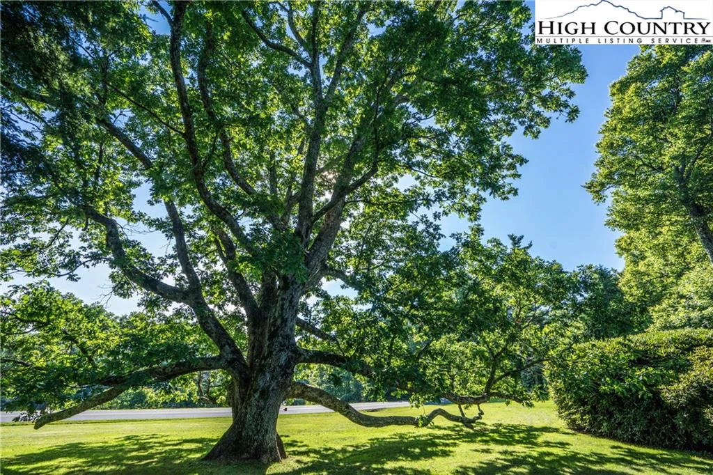 Image number 4 for the current listing