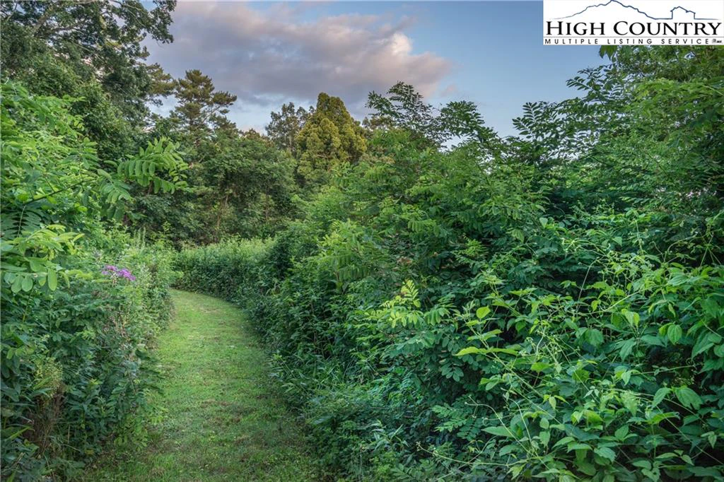 Image number 7 for the current listing