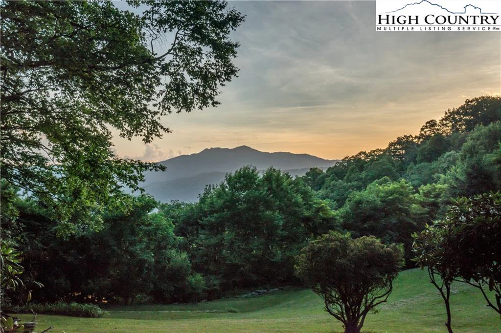 Image number 9 for the current listing