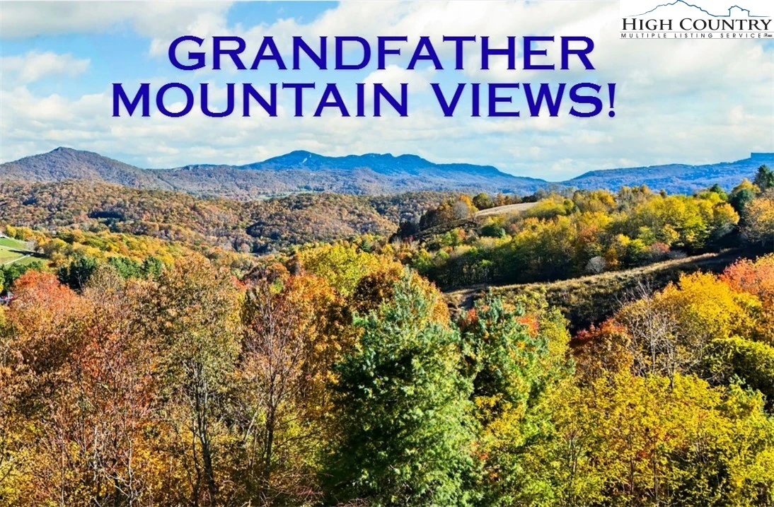 Image number 1 for the current listing