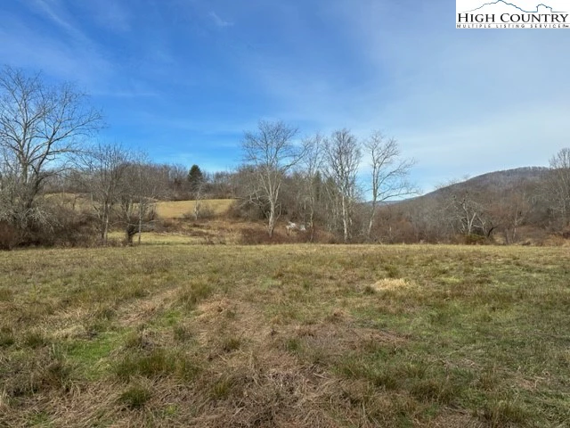 Image number 11 for the current listing