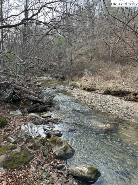 Image number 12 for the current listing