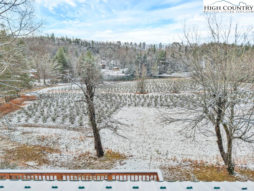 Image number 3 for the current listing