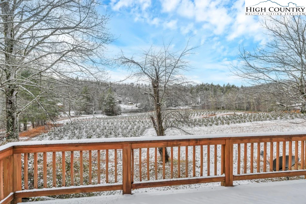 Image number 4 for the current listing