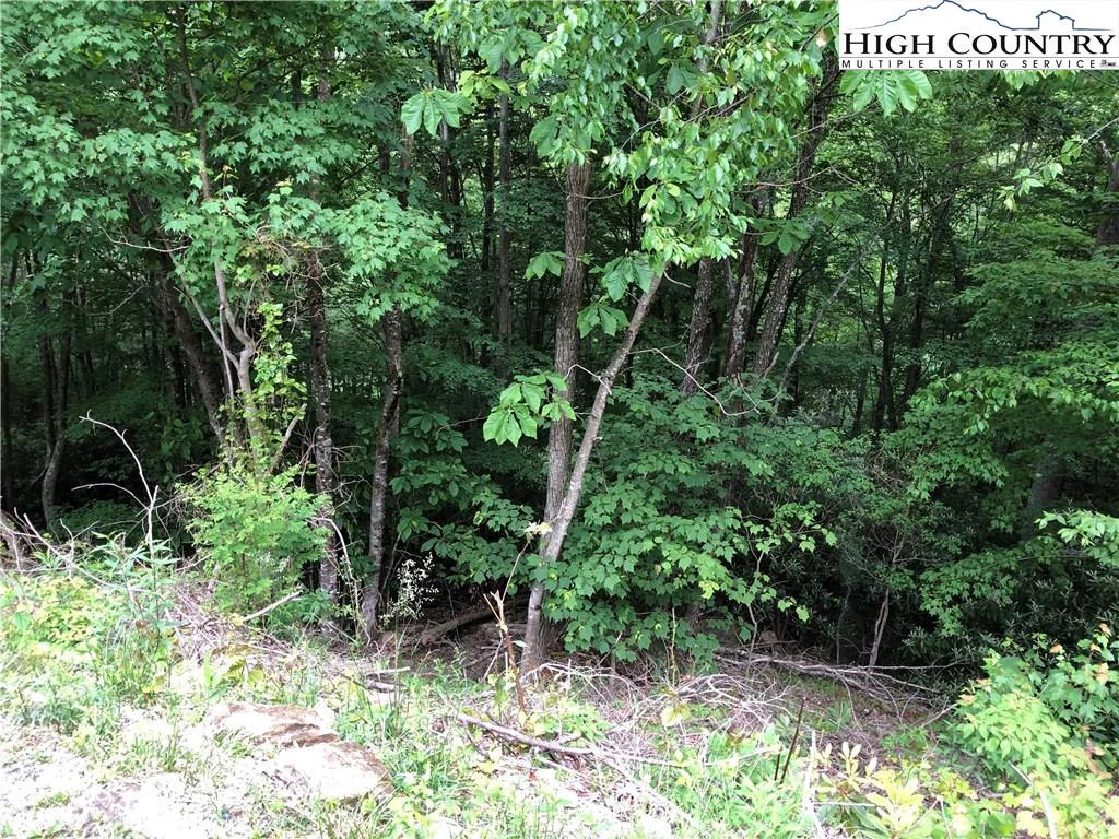 Image number 1 for the current listing