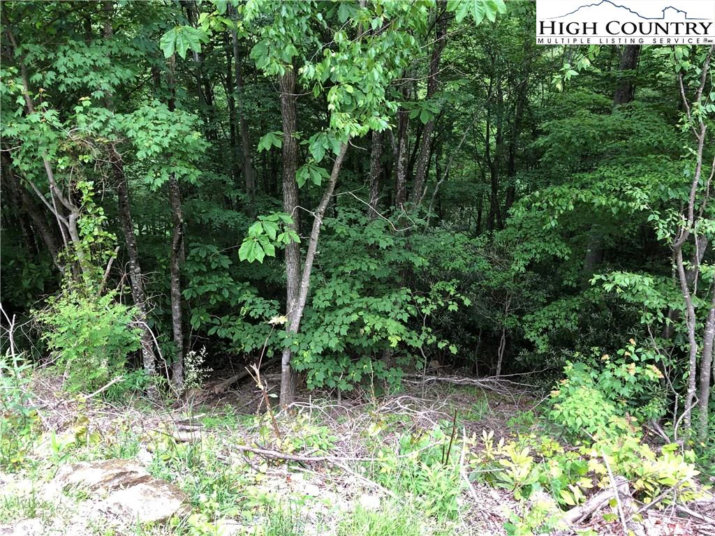 Image number 3 for the current listing