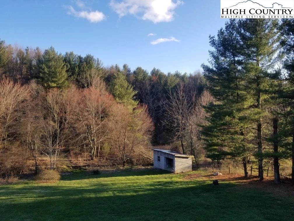 Image number 5 for the current listing