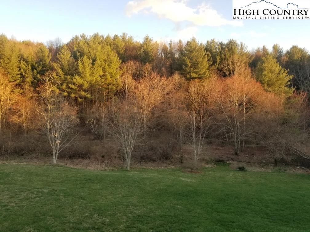 Image number 3 for the current listing