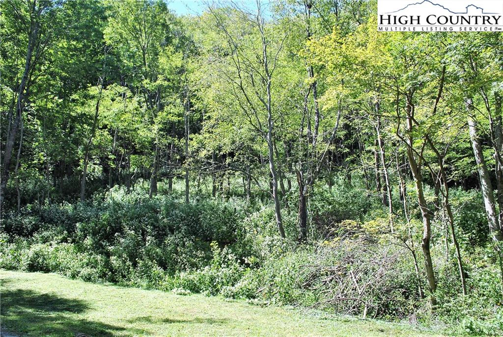 Image number 5 for the current listing