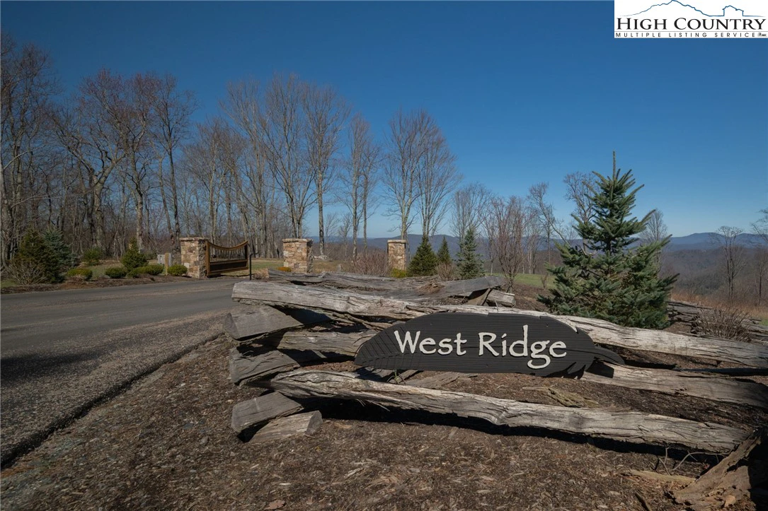 Image number 13 for the current listing