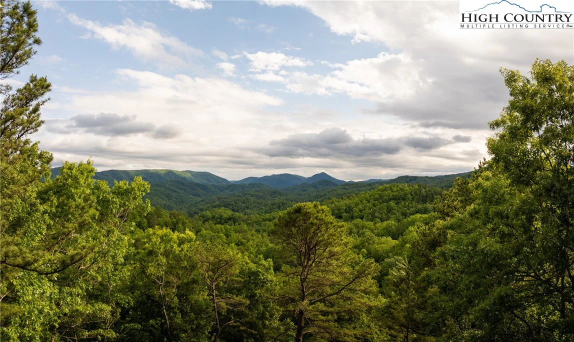 Image number 1 for the current listing