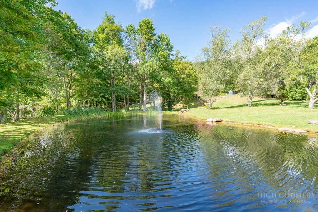 Image number 12 for the current listing