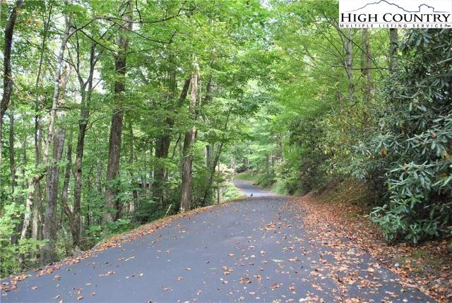 Image number 4 for the current listing
