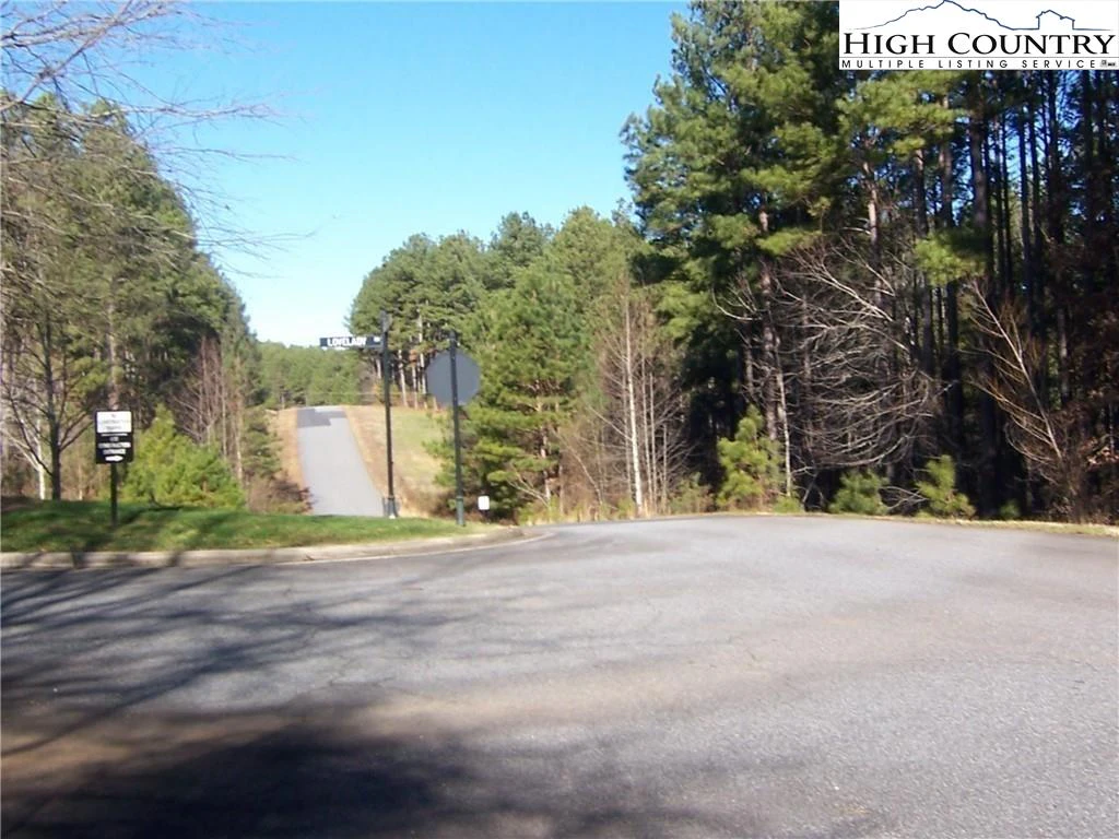 Image number 4 for the current listing