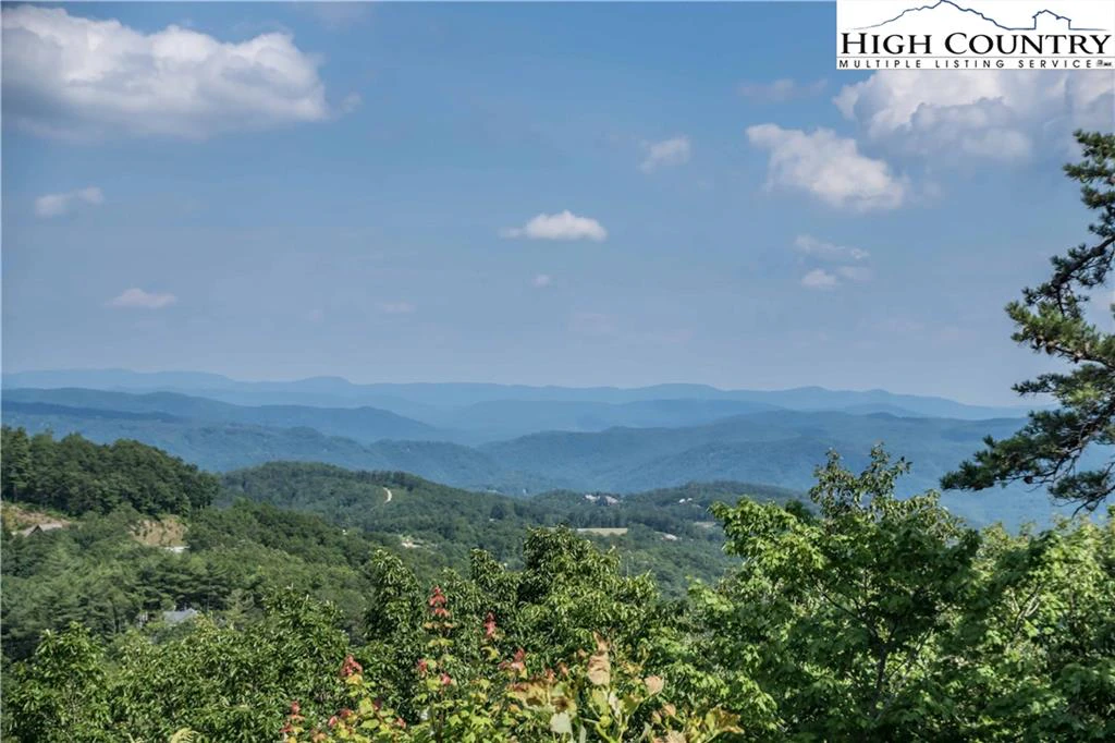 Image number 1 for the current listing