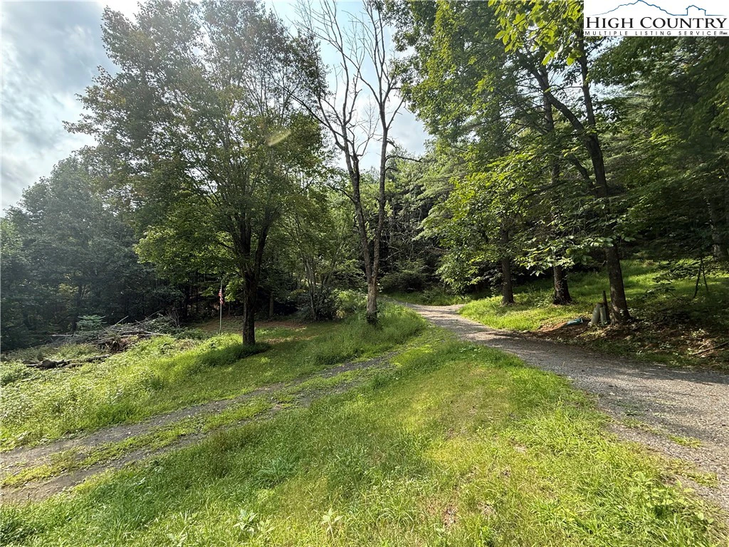 Image number 4 for the current listing