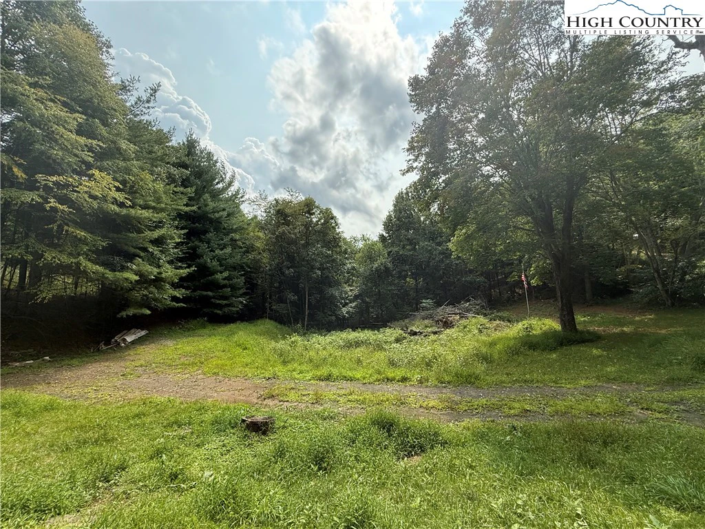 Image number 3 for the current listing