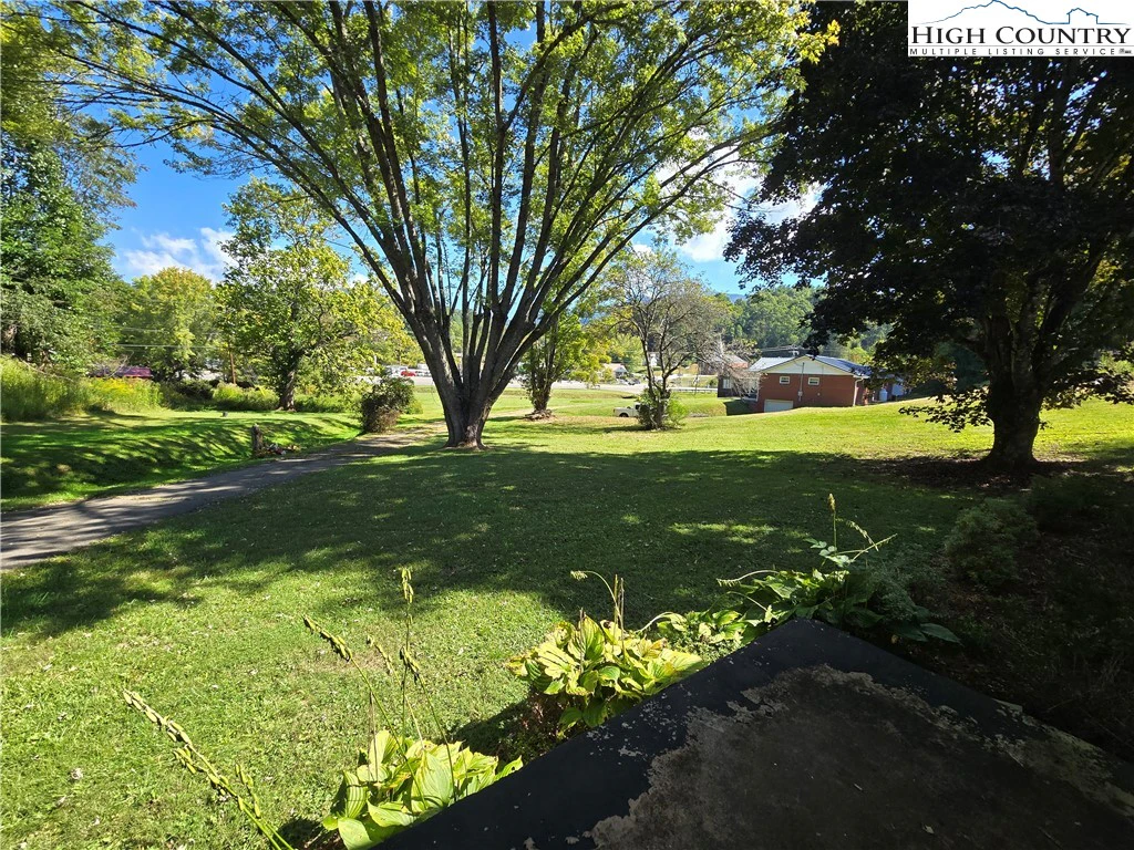 Image number 5 for the current listing