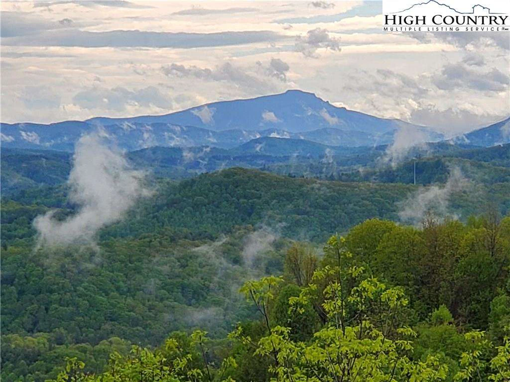 Image number 1 for the current listing