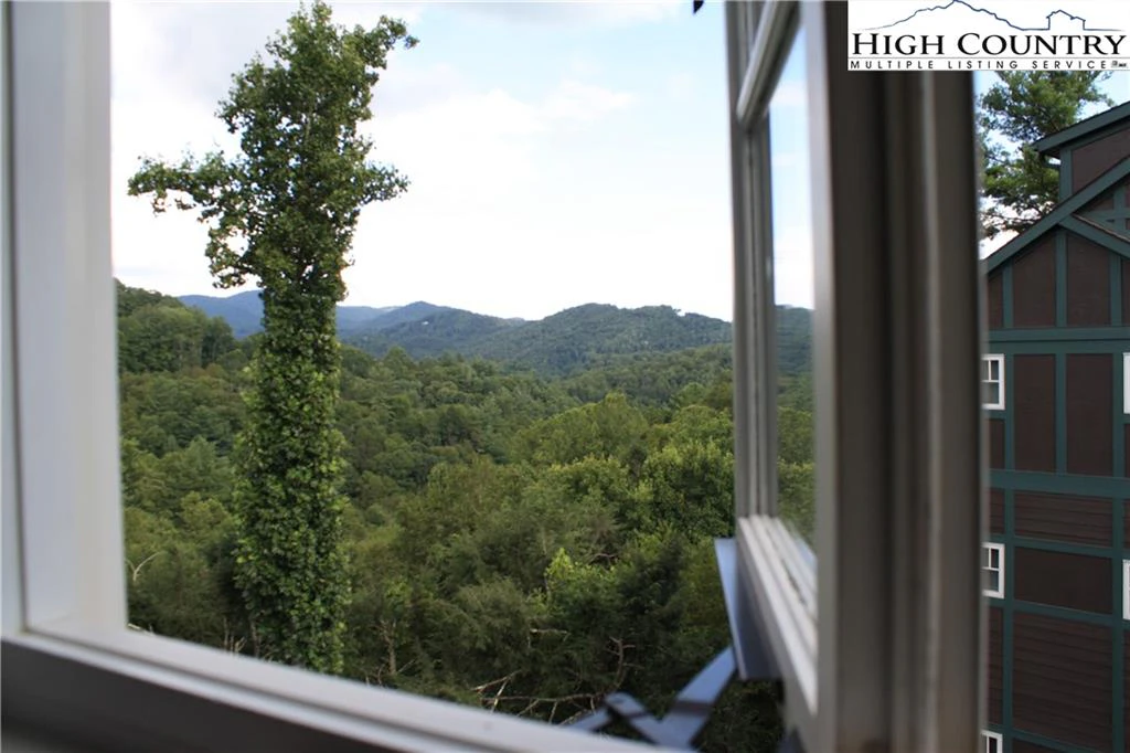 Image number 12 for the current listing