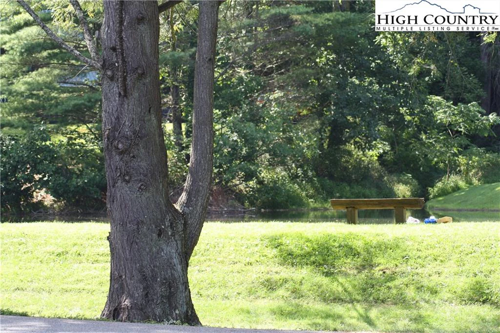 Image number 5 for the current listing
