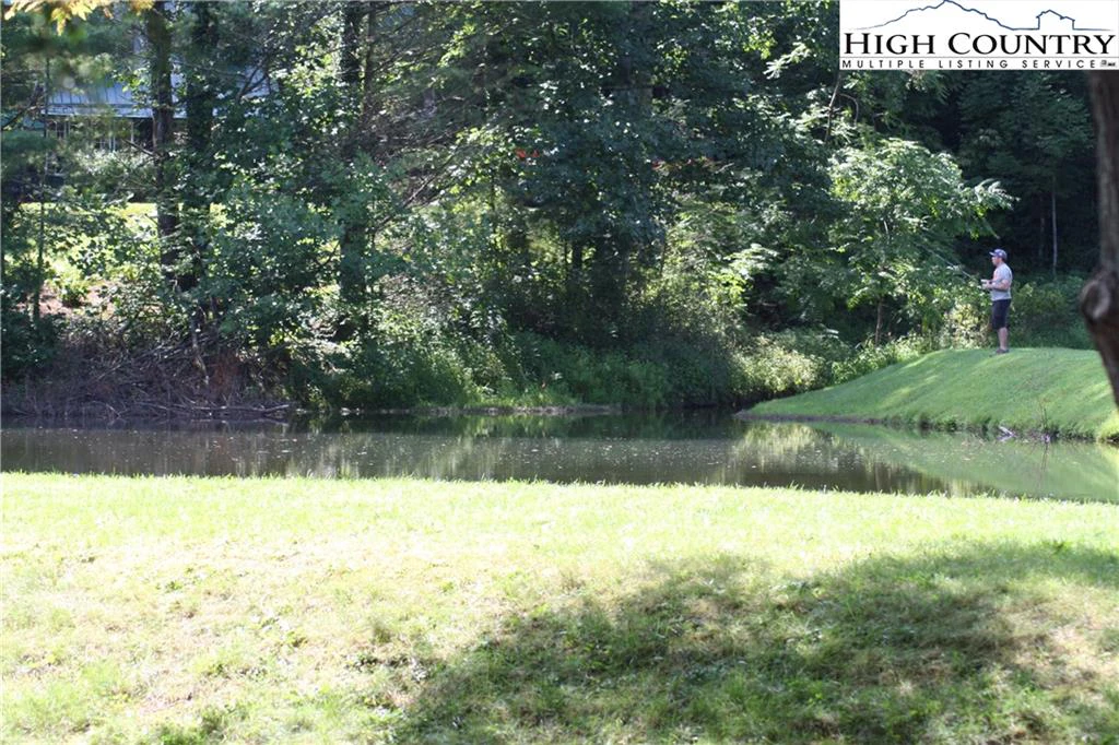 Image number 6 for the current listing