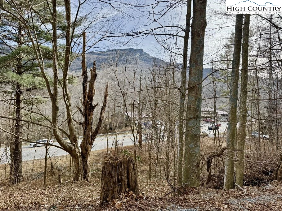 Image number 1 for the current listing