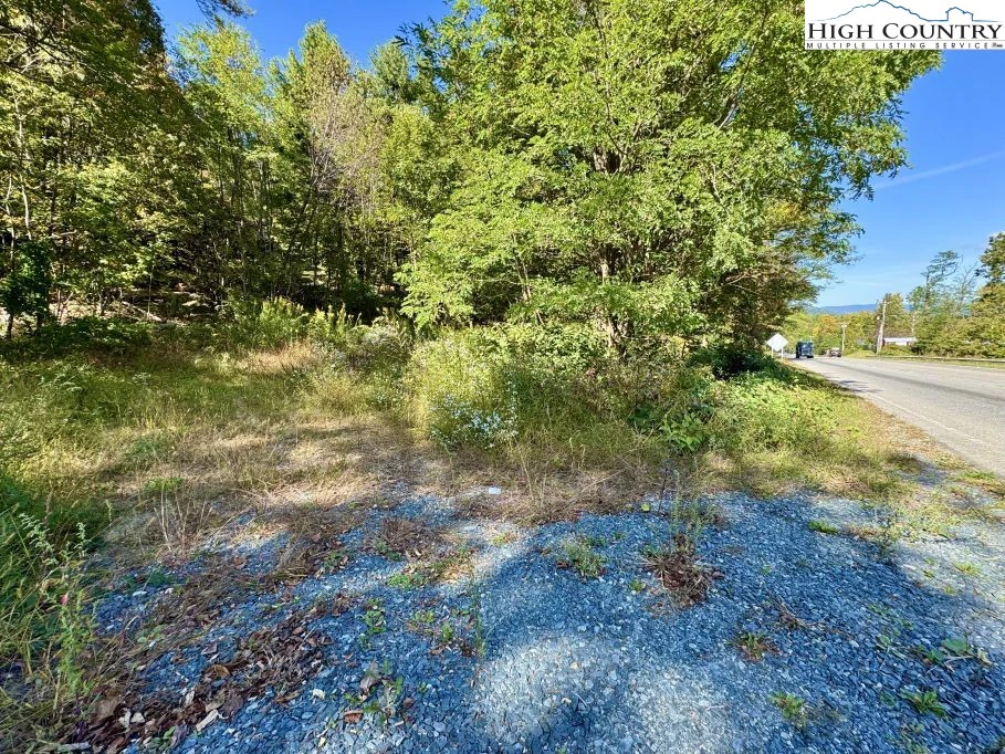 Image number 4 for the current listing