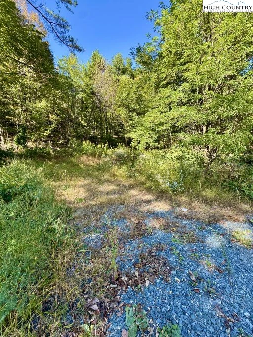 Image number 5 for the current listing