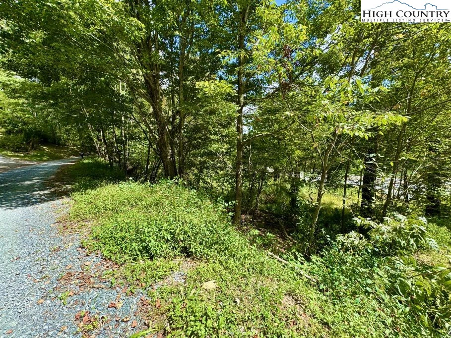 Image number 6 for the current listing