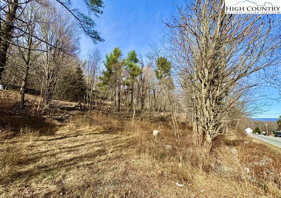 Image number 9 for the current listing