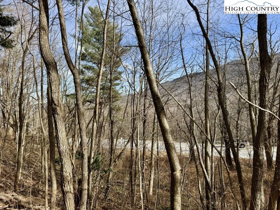 Image number 12 for the current listing