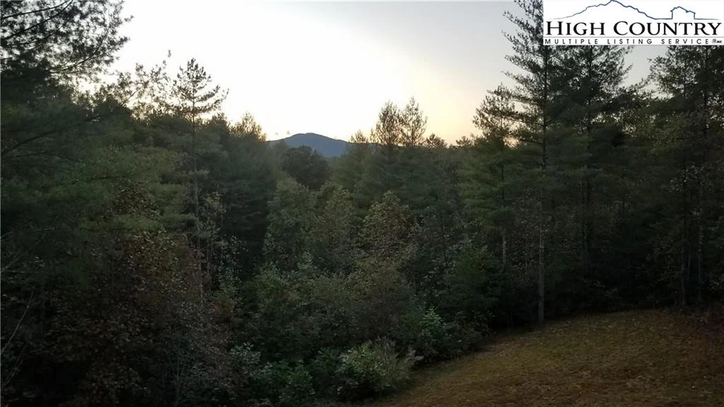 Image number 3 for the current listing