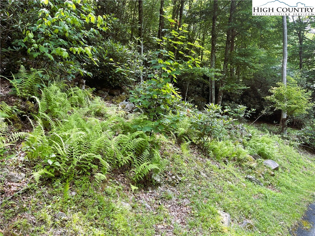 Image number 1 for the current listing